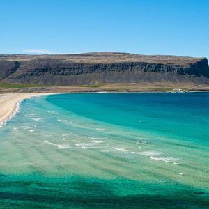 Meet your Posher, Rene